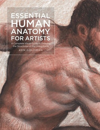 Ken Goldman - Essential Human Anatomy for Artists, Häftad
