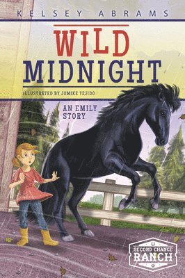 bokomslag Wild Midnight