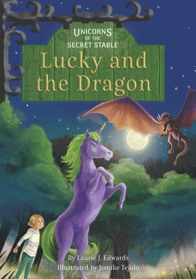 bokomslag Lucky and the Dragon