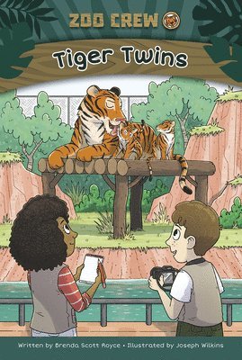 bokomslag Tiger Twins