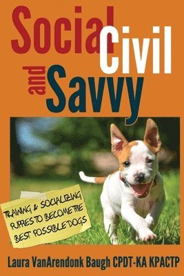 Social, Civil, and Savvy 1