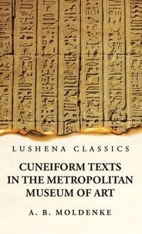 bokomslag Cuneiform Texts in the Metropolitan Museum of Art