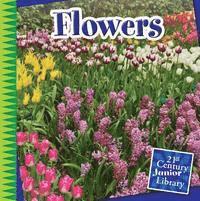 Jennifer Colby - Flowers, Inbunden