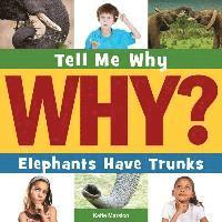 Katie Marsico - Elephants Have Trunks, Häftad