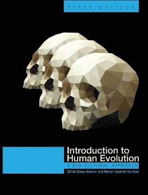 bokomslag Introduction to Human Evolution