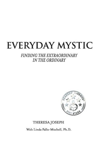 bokomslag Everyday Mystic