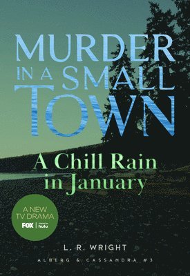 A Chill Rain in January: Murder in a Small Town 1