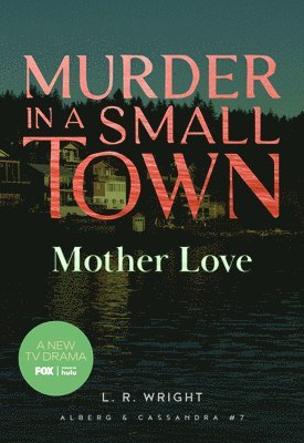 bokomslag Mother Love: Murder in a Small Town