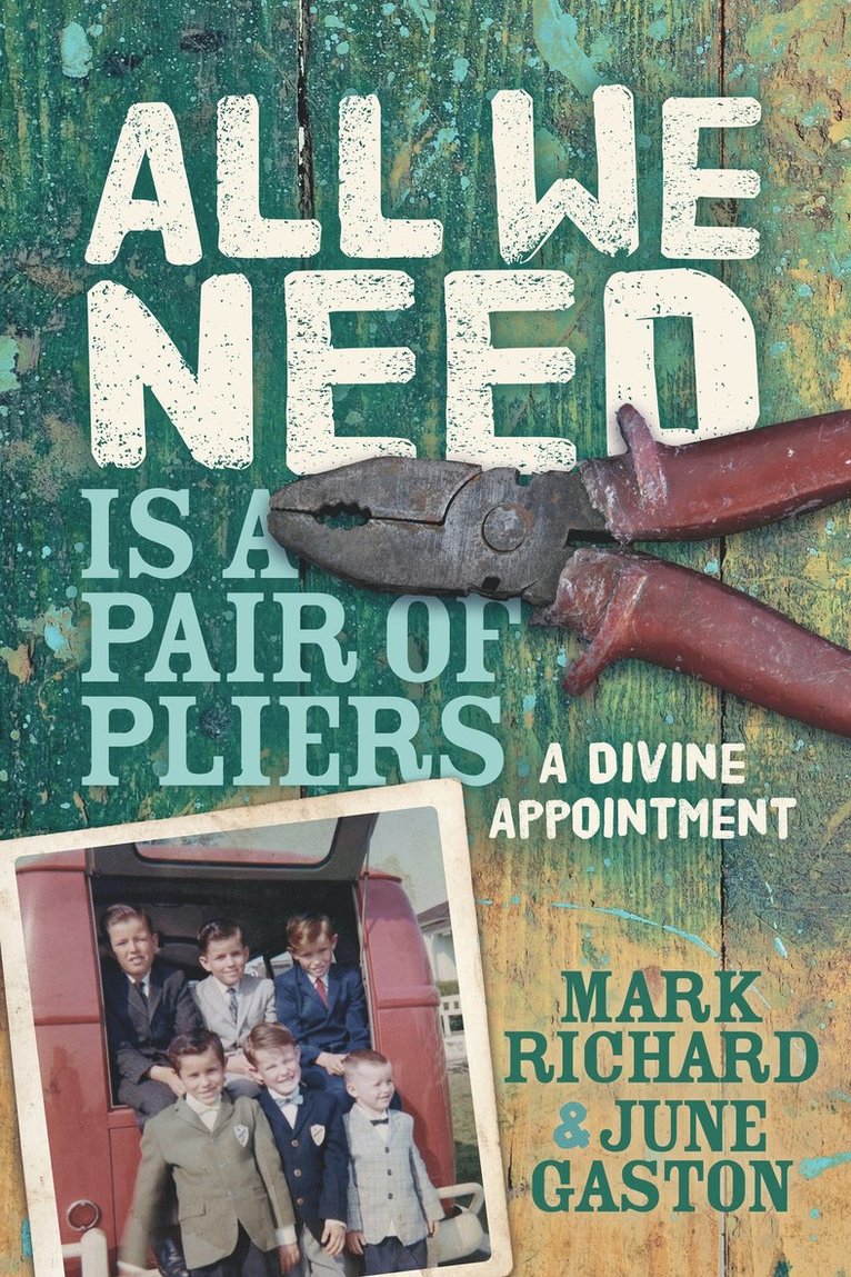 Mark Richard, June Gaston - All We Need is a Pair of Pliers, Häftad