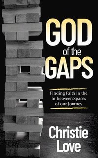 bokomslag God of the Gaps