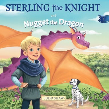 bokomslag Sterling and Nugget the Dragon