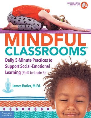 bokomslag Mindful Classrooms?