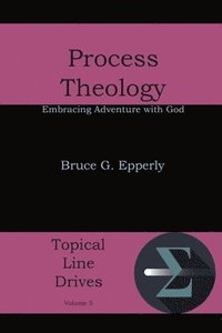 bokomslag Process Theology