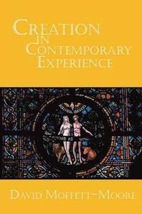bokomslag Creation in Contemporary Experience