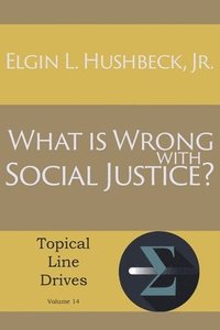 bokomslag What Is Wrong with Social Justice