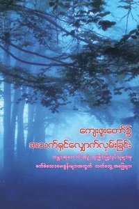 bokomslag Walking in God's Grace (Burmese)
