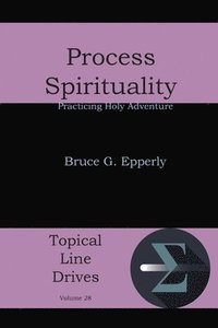 bokomslag Process Spirituality