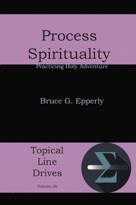 bokomslag Process Spirituality