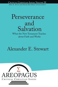 bokomslag Perseverance and Salvation