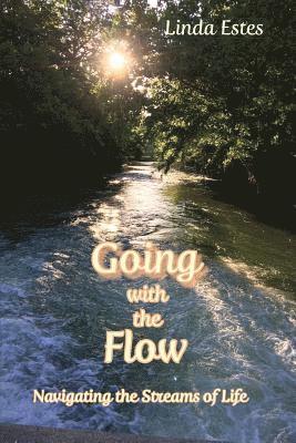 Going with the Flow 1