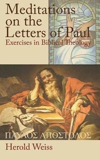 bokomslag Meditations on the Letters of Paul