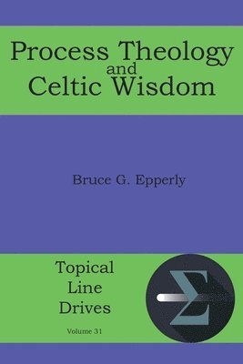 bokomslag Process Theology and Celtic Wisdom