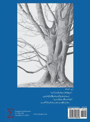 bokomslag Reflections on Scripture, Dandelions, and Sparrows (Urdu Edition)