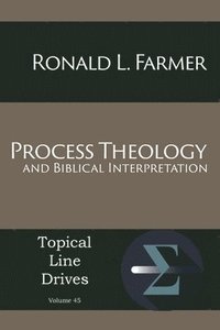 bokomslag Process Theology and Biblical Interpretation