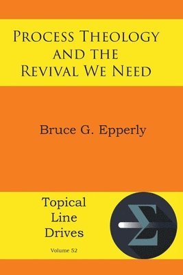 bokomslag Process Theology and the Revival We Need