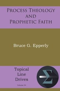 bokomslag Process Theology and Prophetic Faith