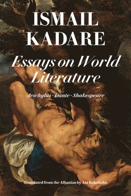 Essays On World Literature 1