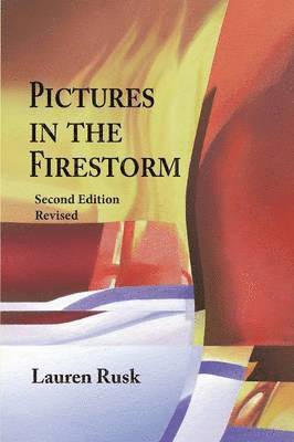 bokomslag Pictures in the Firestorm, Second Edition