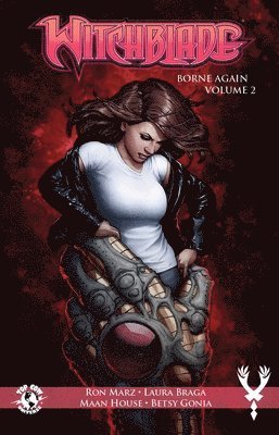 bokomslag Witchblade: Borne Again Volume 2