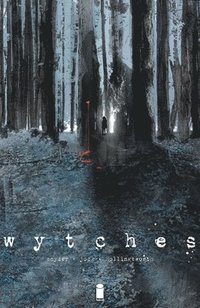 bokomslag Wytches Volume 1