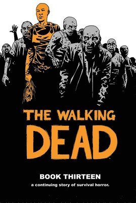 bokomslag Walking Dead Book 13