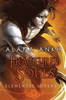 Fractured Souls Volume 2 1