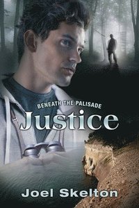 bokomslag Beneath the Palisade: Justice Volume 3