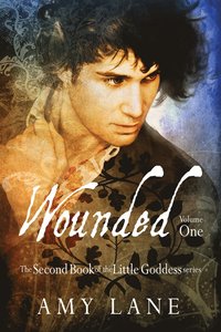 bokomslag Wounded, Vol. 1