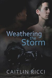 bokomslag Weathering the Storm Volume 1