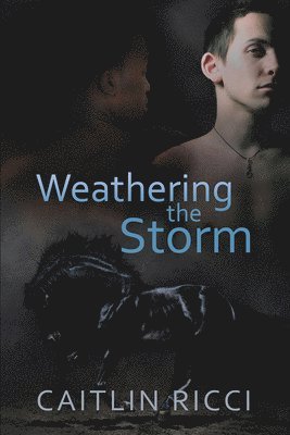 Caitlin Ricci - Weathering the Storm: Volume 1, Häftad