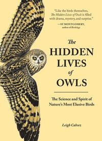 bokomslag The Hidden Lives of Owls: The Science and Spirit of Nature's Most Elusive Birds