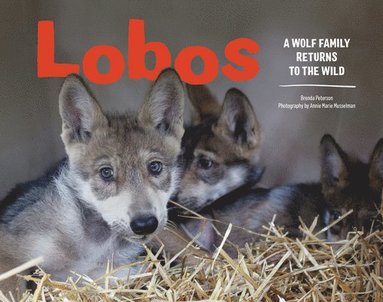 bokomslag Lobos