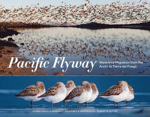 Audrey Delella Benedict, Geoffrey A. Hammerson, Geoffrey A Hammerson, Robert W Butler - Pacific Flyway: Waterbird Migration from the Arctic to Tierra del Fuego, Häftad