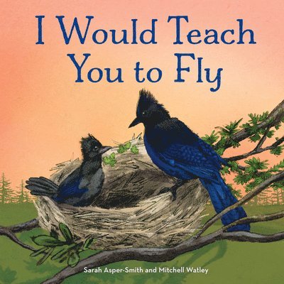 Asper-Smith, S: I Would Teach You to Fly