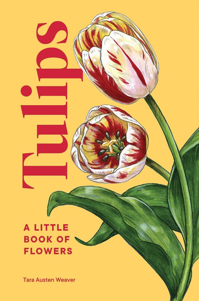 Tara Austen Weaver - Tulips, Inbunden
