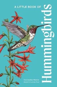 bokomslag A Little Book of Hummingbirds