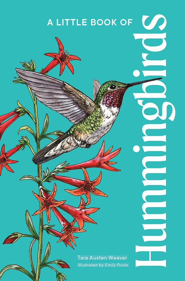 Tara Austen Weaver - Little Book of Hummingbirds, Inbunden