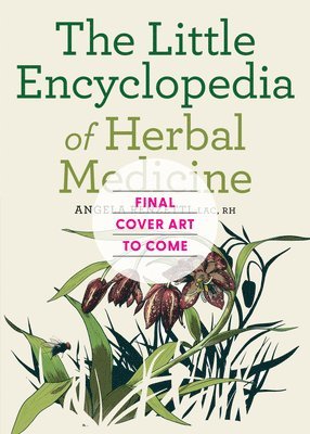 bokomslag The Little Encyclopedia of Herbal Medicine