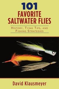 bokomslag 101 Favorite Saltwater Flies