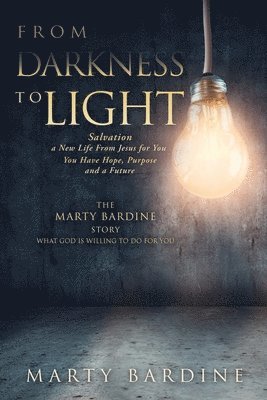 bokomslag From Darkness to Light